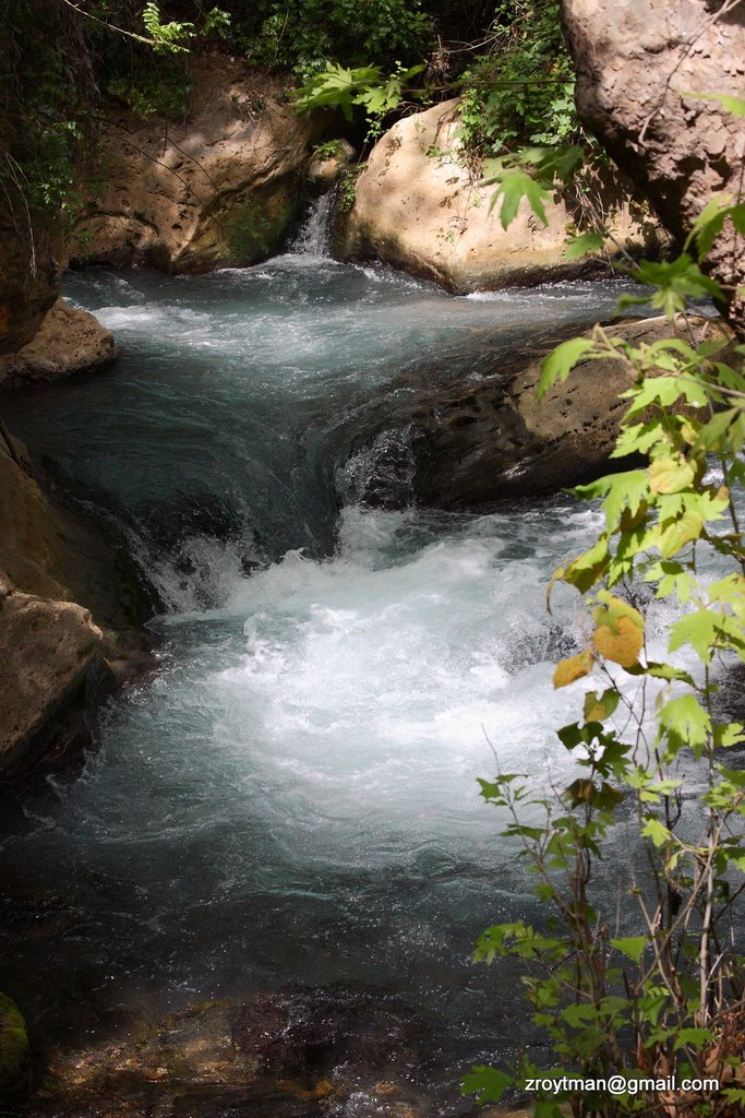 Banias Waterfalls