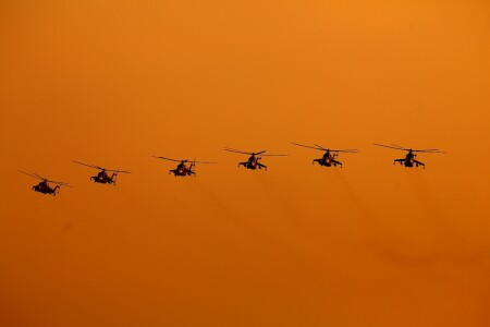 Новые приключения неуловимых