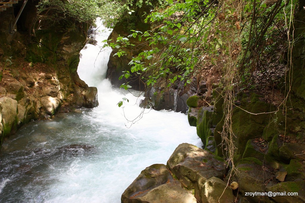 Banias Waterfalls II