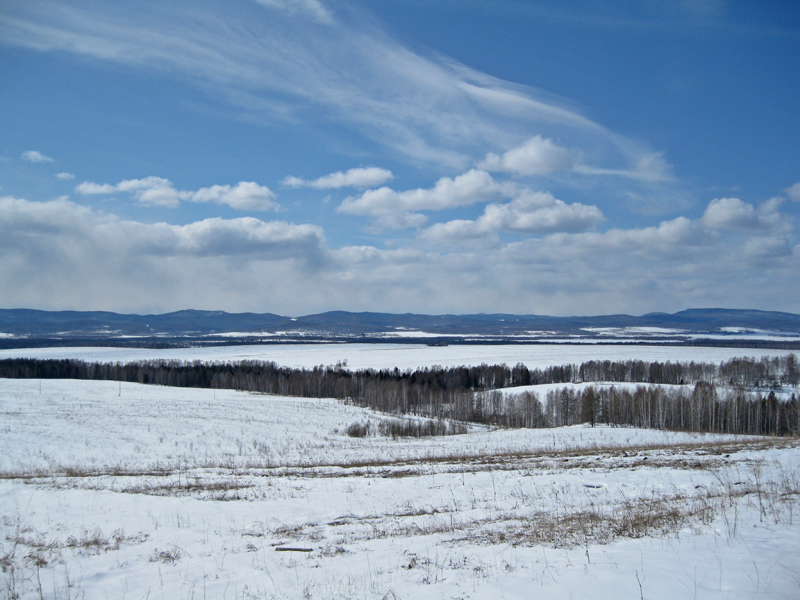 перелески