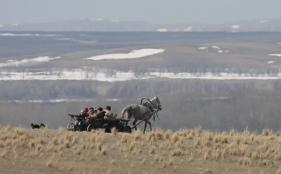  Савраска. Весна в желтых горах