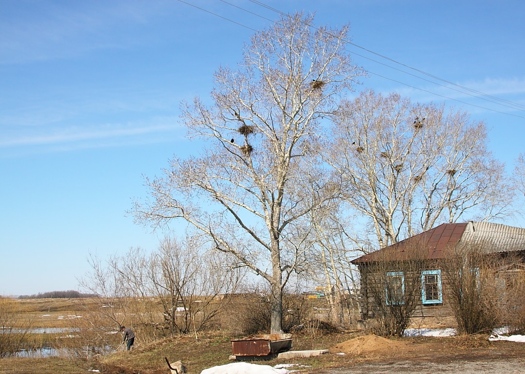 Весна в Берёзовке