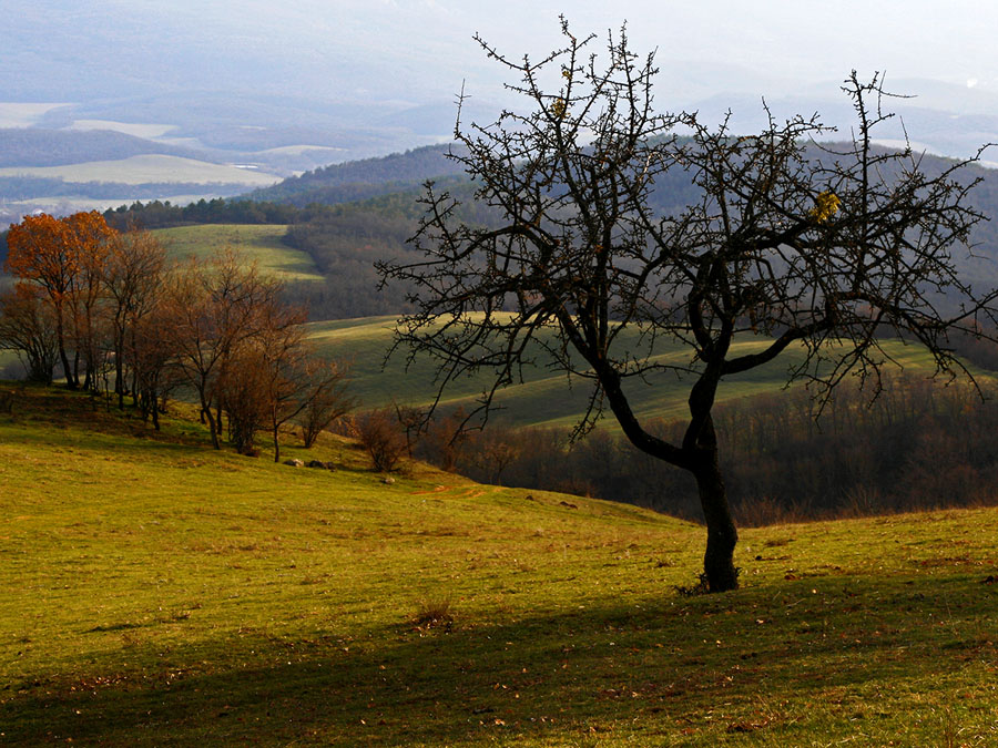 вечер в предгорьях Крыма