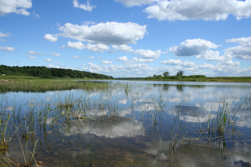 Жара. Июль