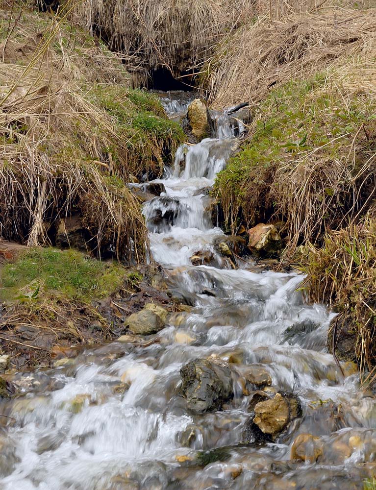 Лесной водопад.