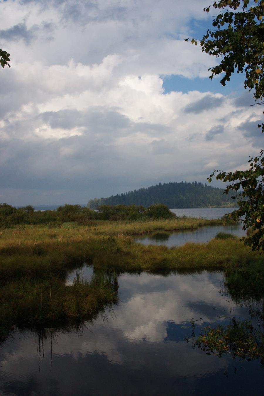 перед грозой