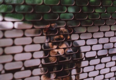 Тоска одиночества