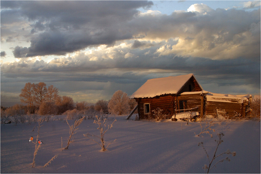 Красная парочка