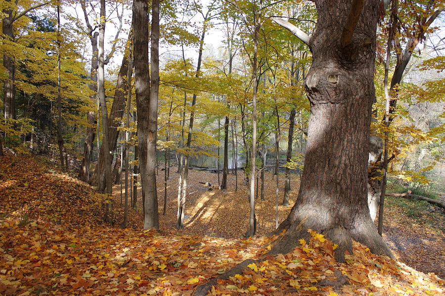 Осень