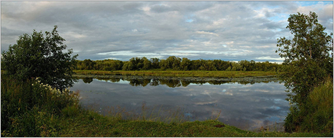 Вечерне-ночная, у водопоя...