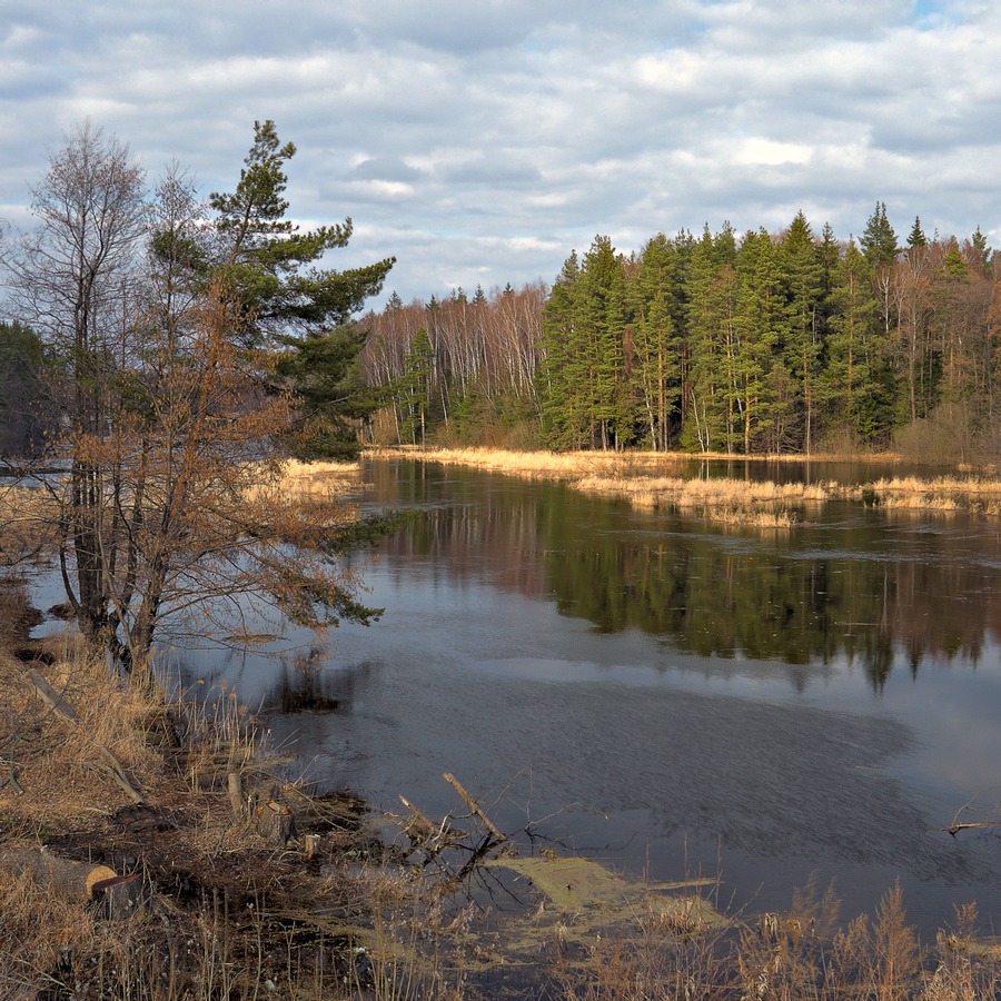 Река Поля