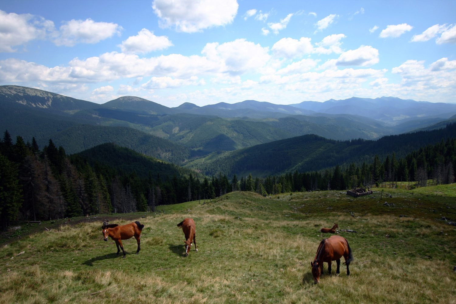 Карпатский ландшафт