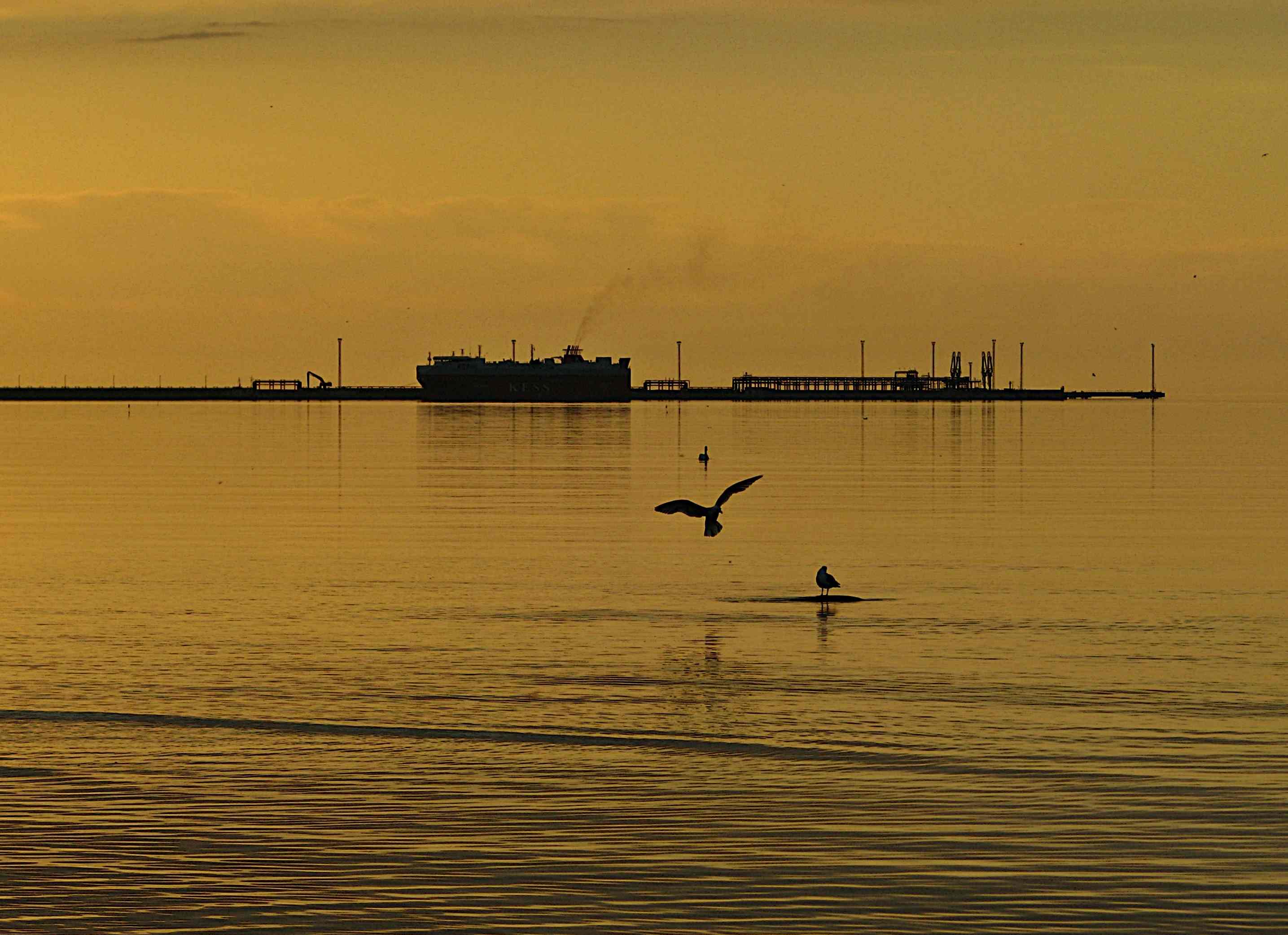 Безмолвие грозного моря