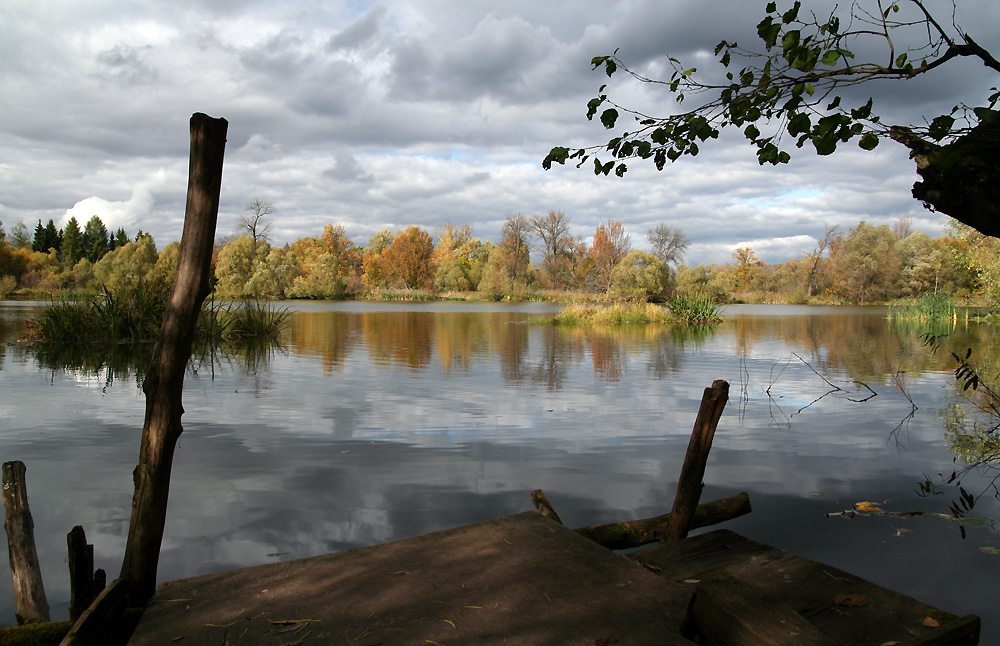 В Сенницах