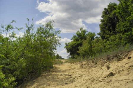 Дорога к небу