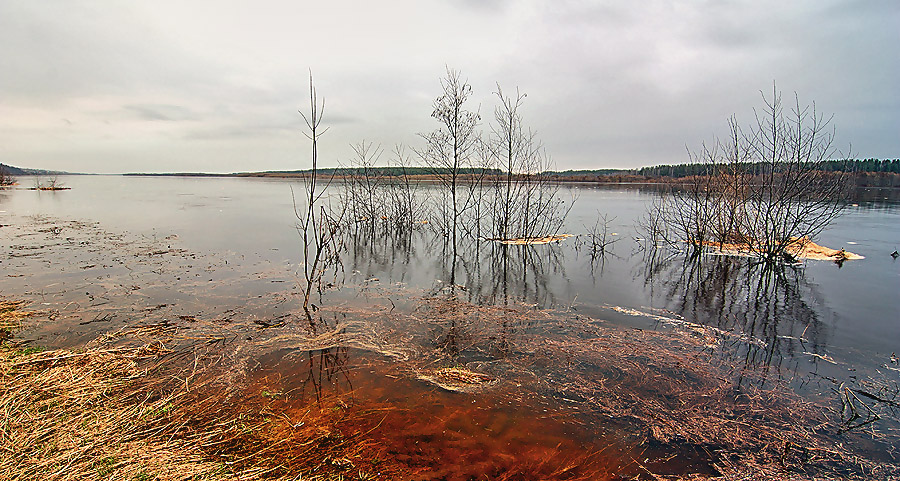 Полноводье