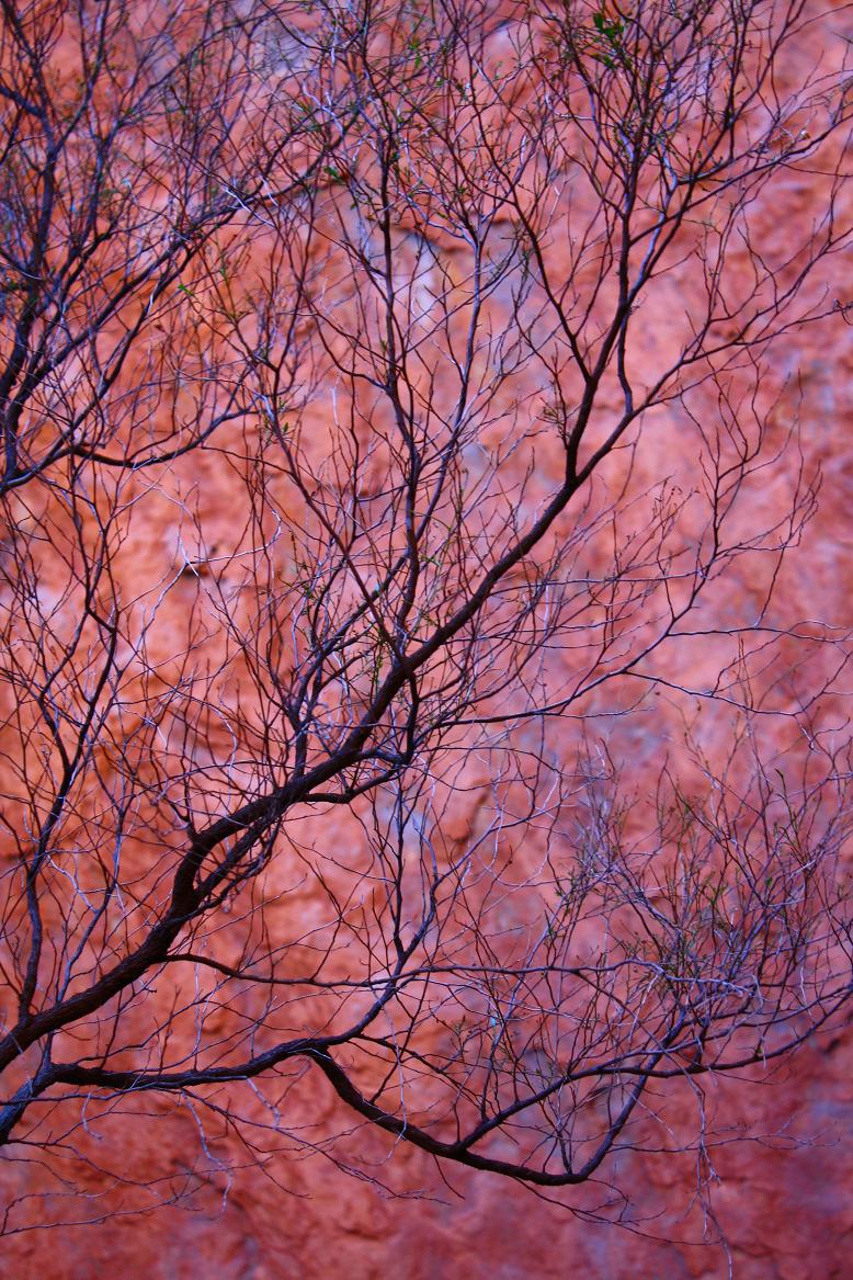 Uluru series - 2