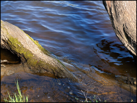 Весенний этюд.