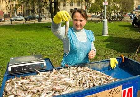 Кому корюшку?