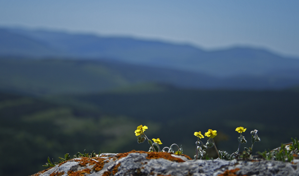 ГОРНЫЕ ЗАРИСОВКИ 