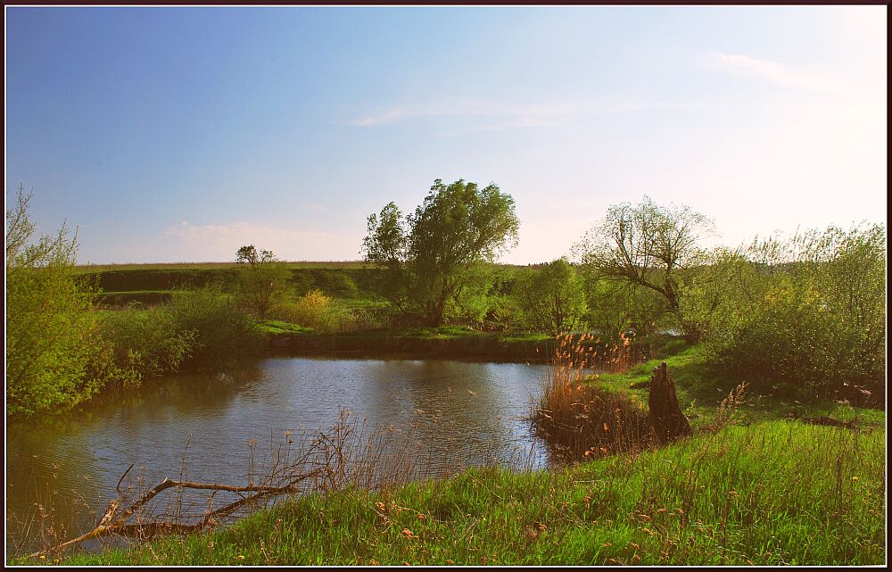 Рыбные пруды