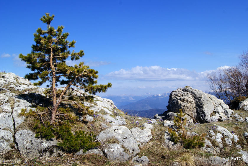 На плато Лаго-Наки