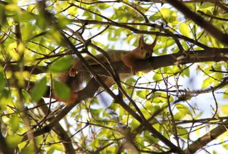 застал в расплох