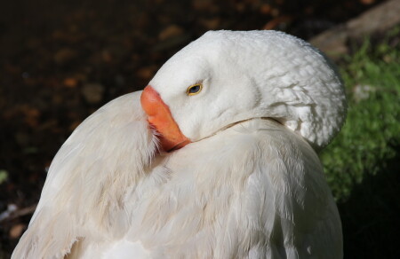 о чем думаеш друг?