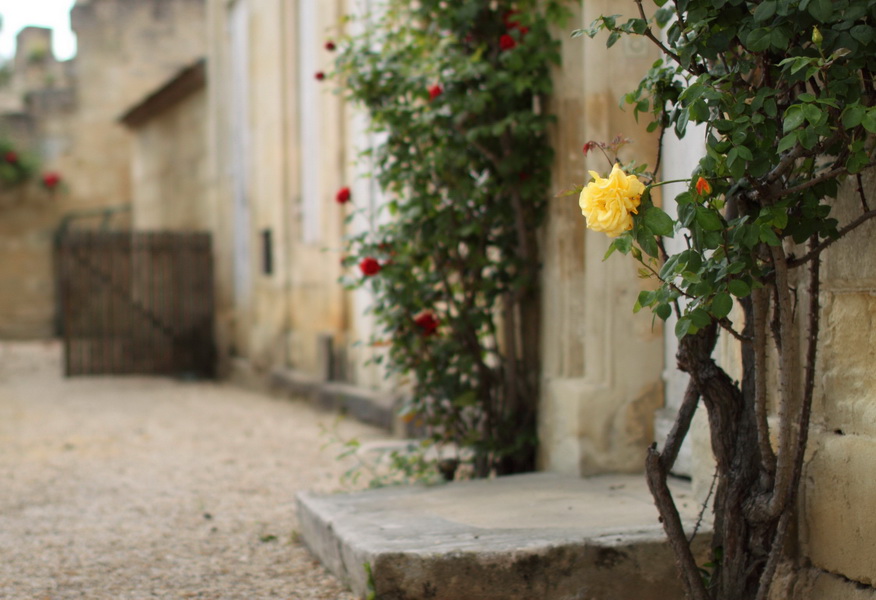 Saint-Emilion