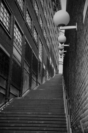 куда мы идем?