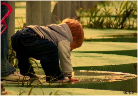 Юный исследователь