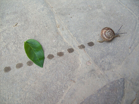 Точка, точка, тире...