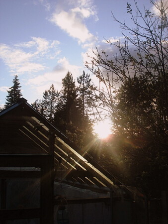 Весенне солнце