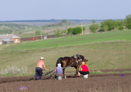 Пахарь