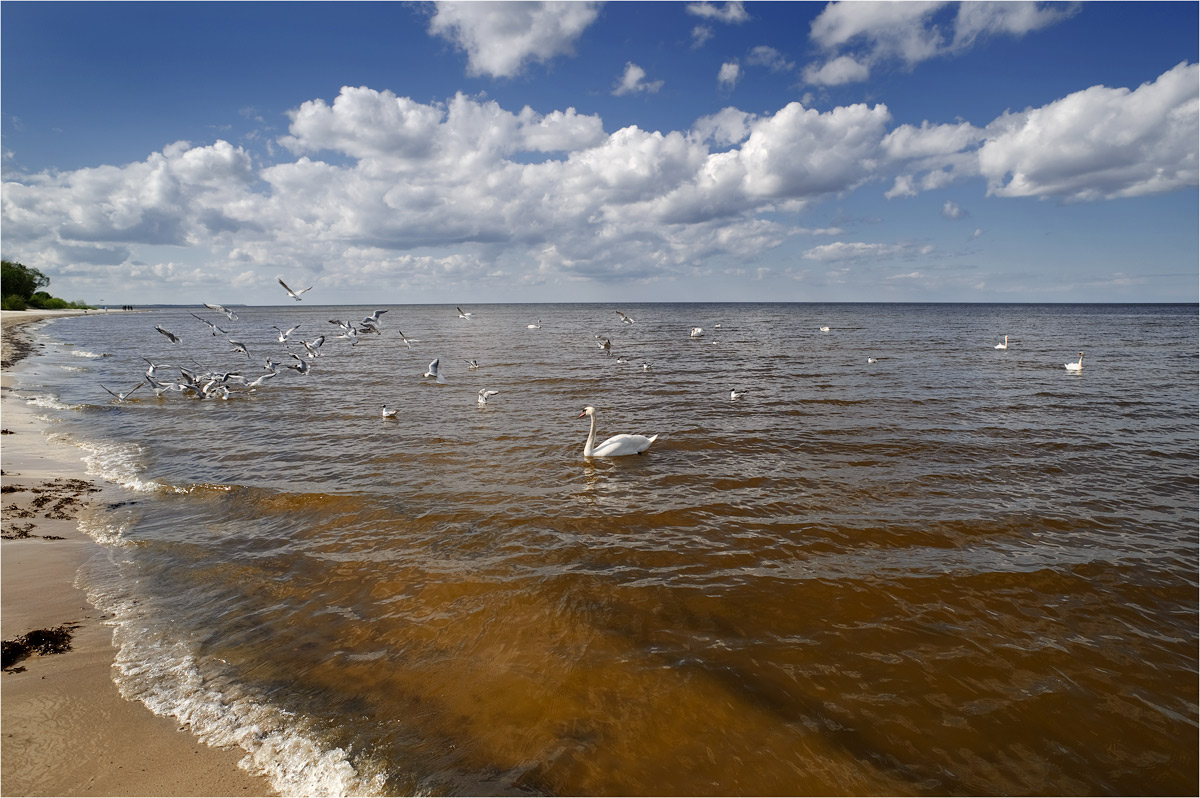 Май на Юрмалском взморье