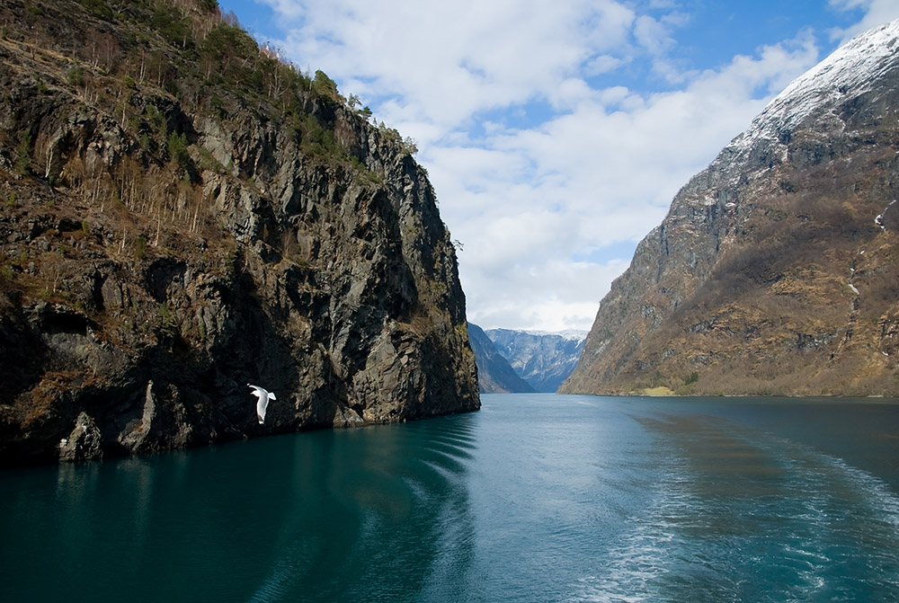 Naroyfjord