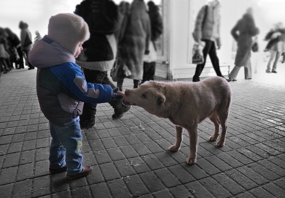 Двое в городе