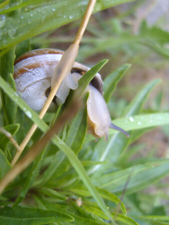 Гимнастический этюд