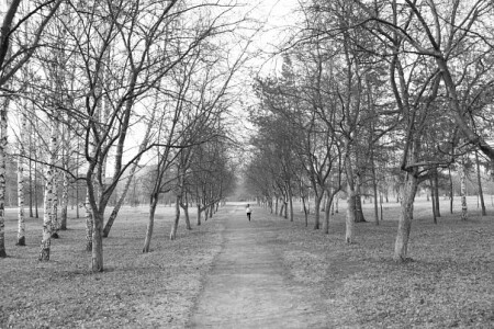 убегая прочь