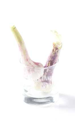 учебный этюд