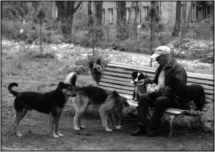 средство от одиночества