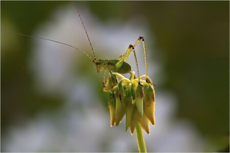 перед выбором