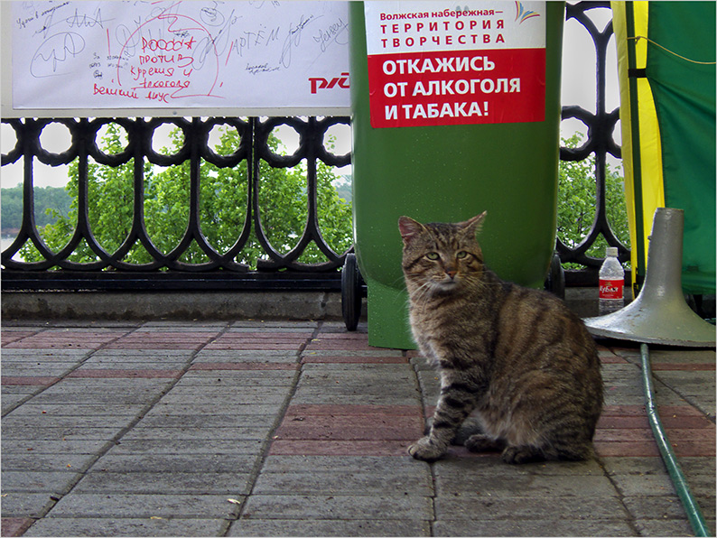 А я и не злоупотребляю...