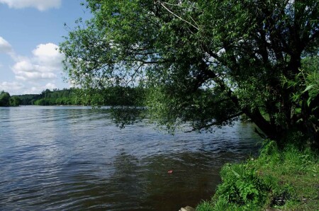 взгляд на реку