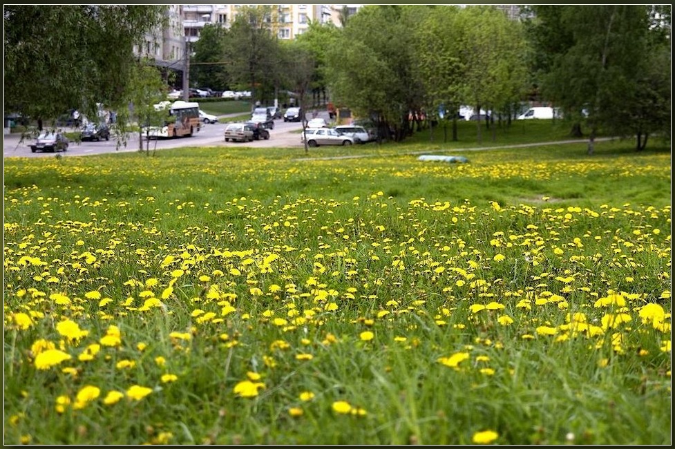 Временное превосходство