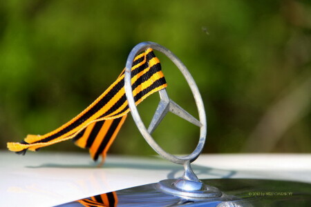  Мы всё-таки победили!!!