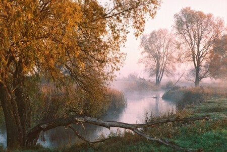 Осень на р.Ирпень