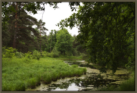 Речка Поля.