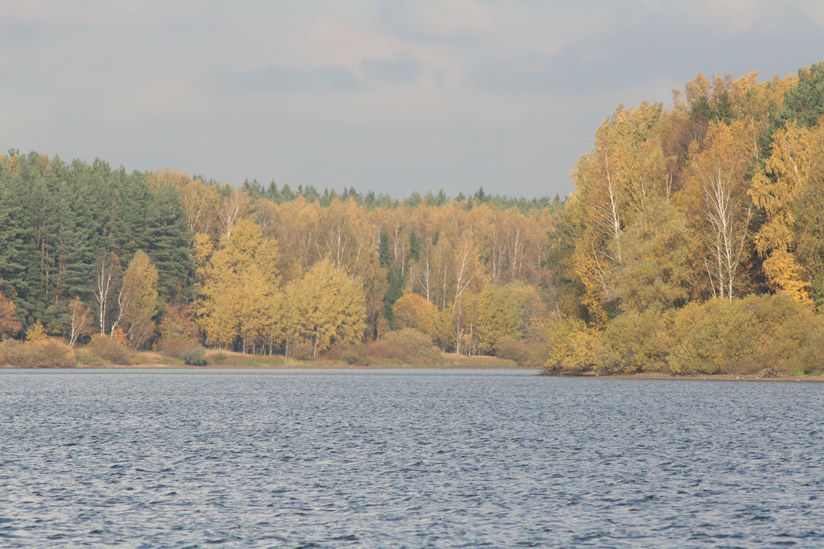 золотая осень