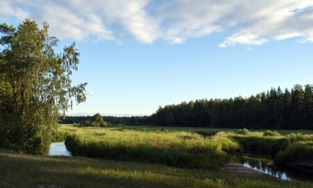 Вид чудесный.